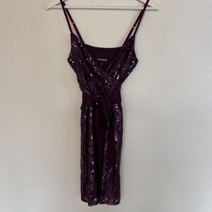 Express Purple Sequin Lacy Dress